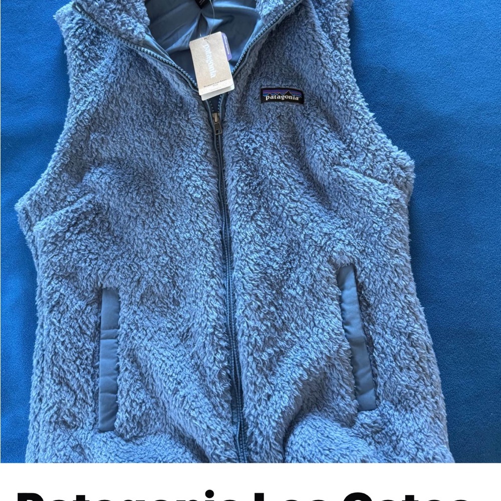 Patagonia Sky Blue Sherpa Jacket
